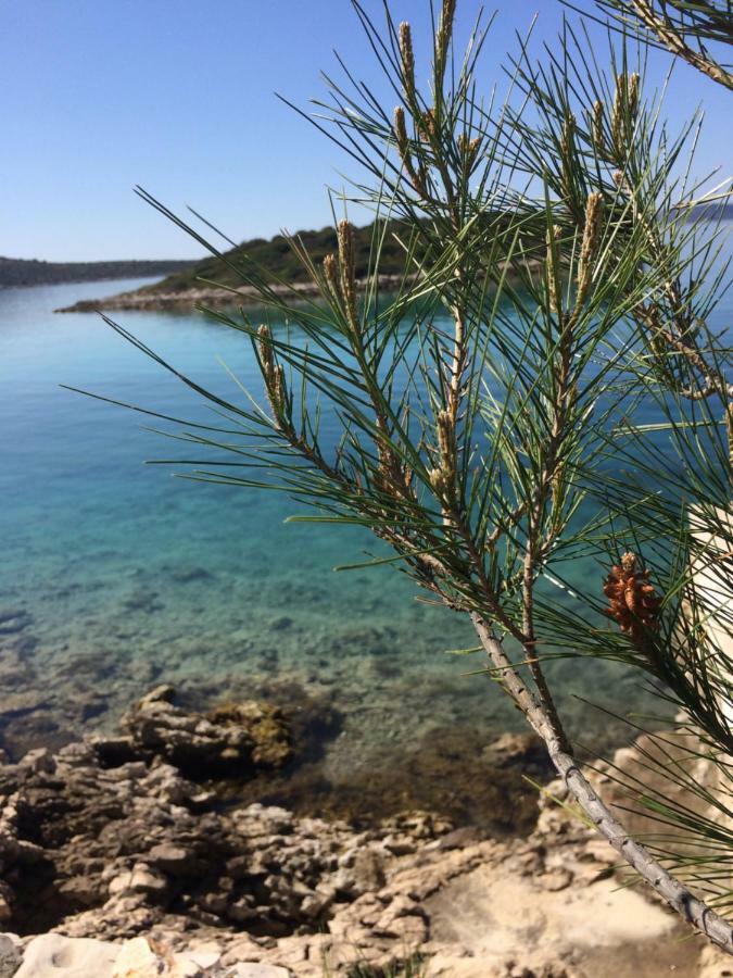 Holiday Home Pure Nature Tkon Extérieur photo